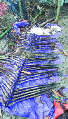 Image of আলমগীর হোসেন
